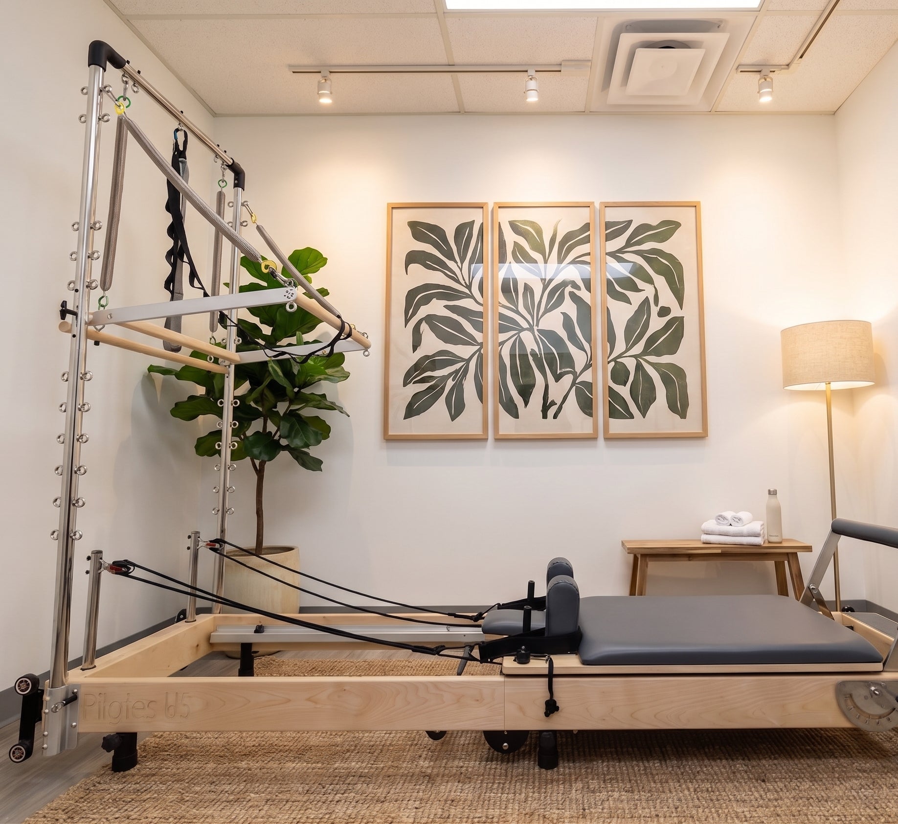 Janet Elite Plus – Premium Foldable Pilates Reformer