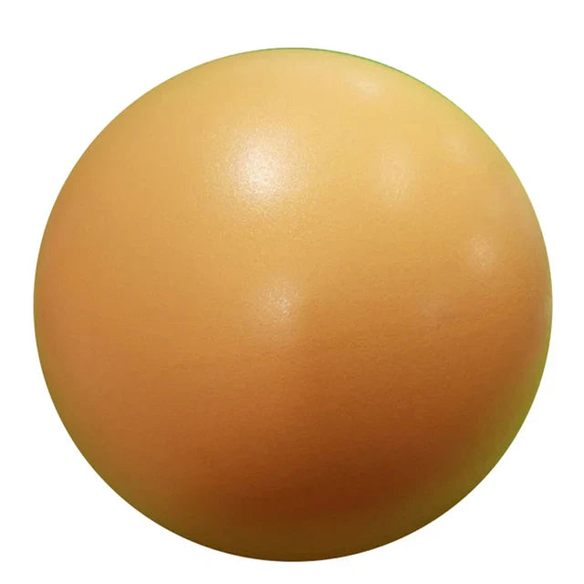 25cm Yoga Balance Ball | Small Pilates Ball