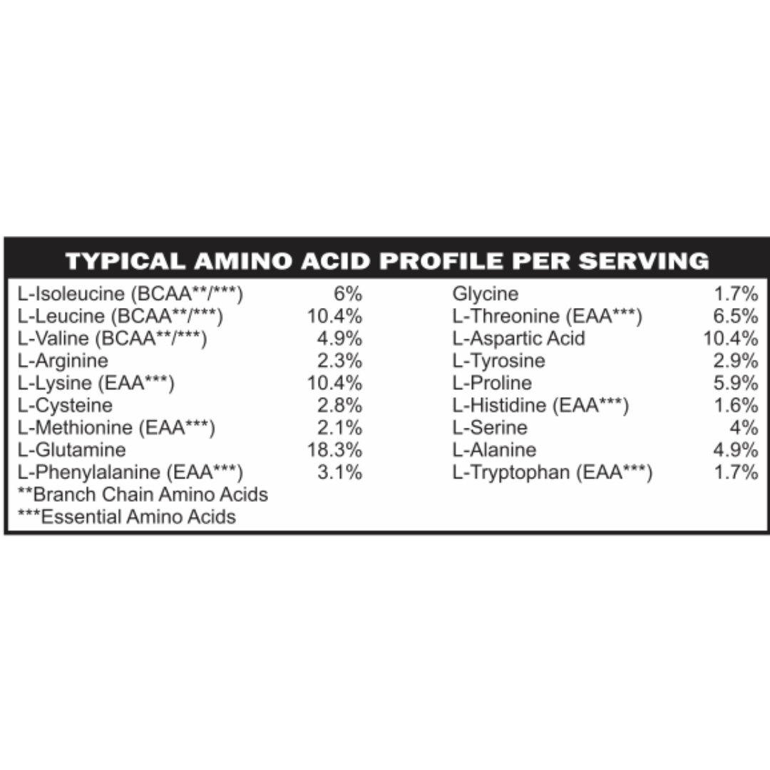 Elemental Whey WPI Protein Powder + Digestive Enzymes | GLP-1 Gut-Gentle Muscle Support