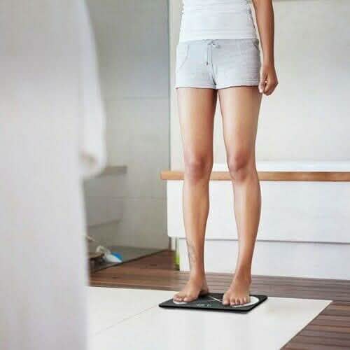 Body Composition Scale